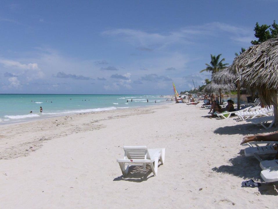 Strand Starfish Cuatro Palmas