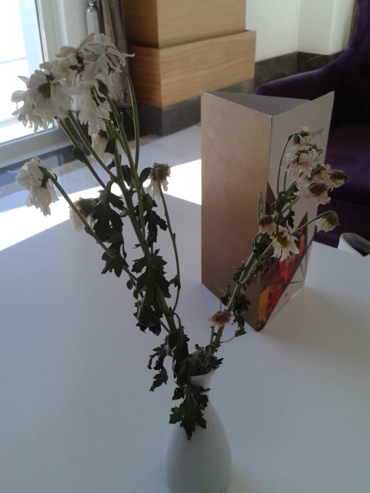 Verwelkte Blumen an den Tischen Side Royal Palace Hotel & Spa