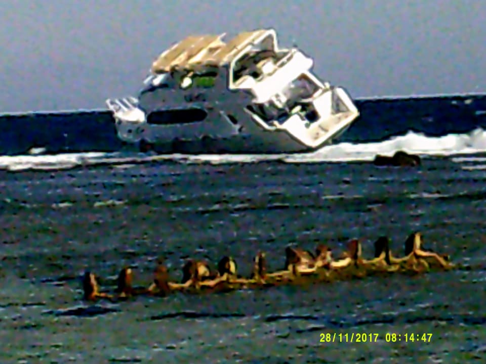 Strand Pickalbatros Royal Moderna Resort-Sharm El Sheikh