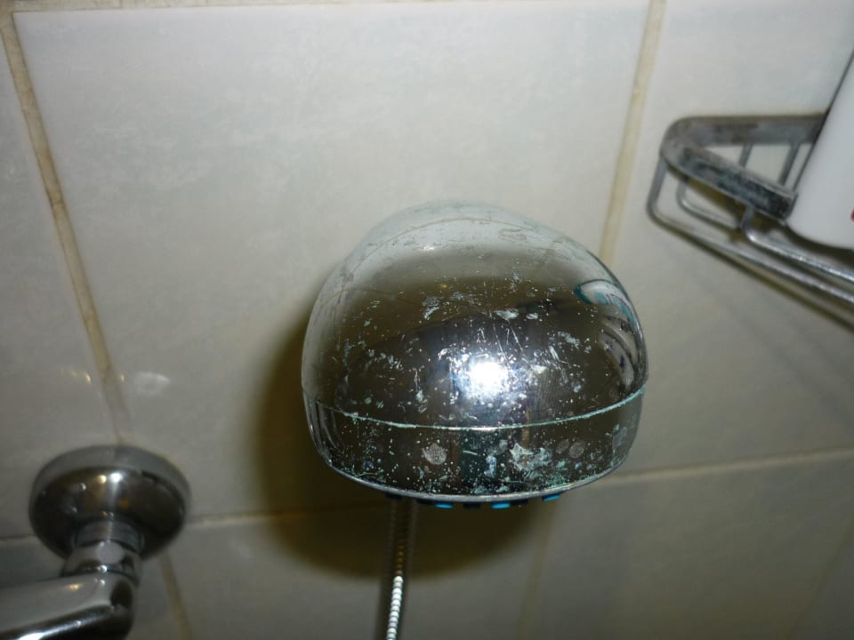 Duschkopf AQI Pegasos World