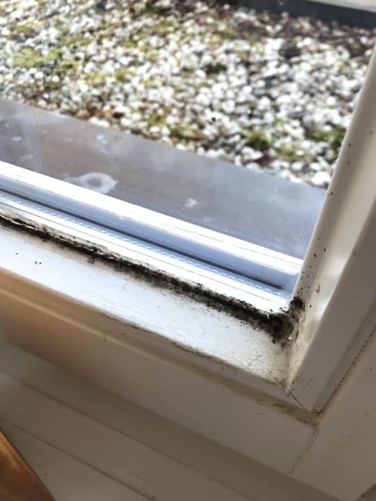 Zimmer Gutshof Woldzegarten