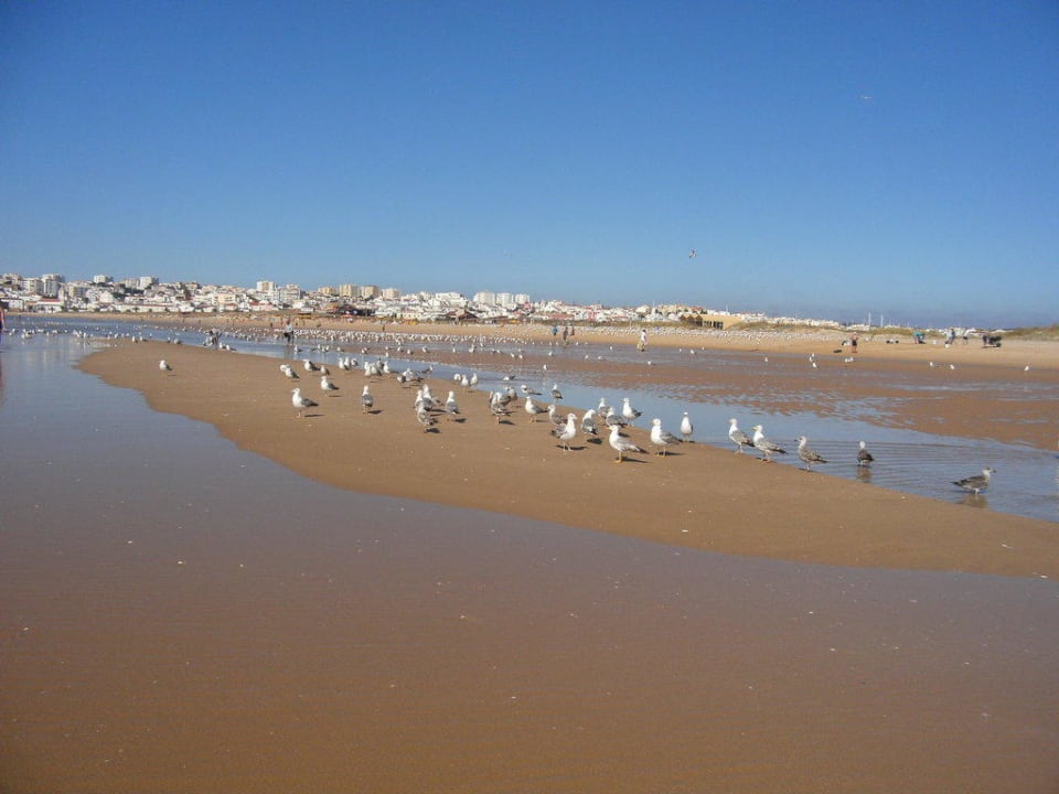Beach Hotel Vila Galé Lagos