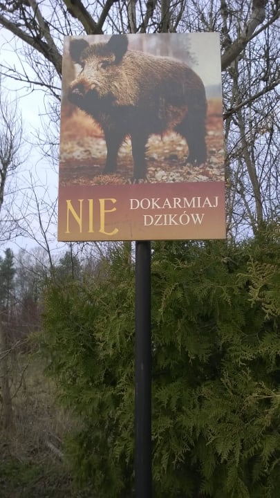 Ca. 300m vom Hotel Hotel Cis