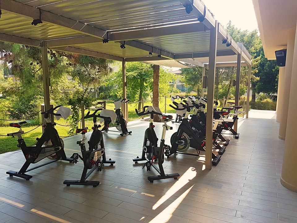 Sport & Freizeit TUI BLUE Palm Garden