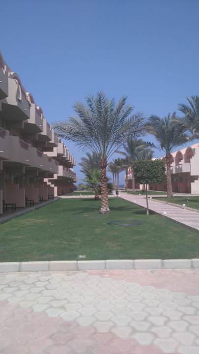 W drodze na basen Three Corners Sea Beach Resort