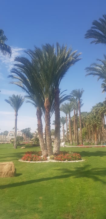 Gartenanlage Beach Albatros Resort