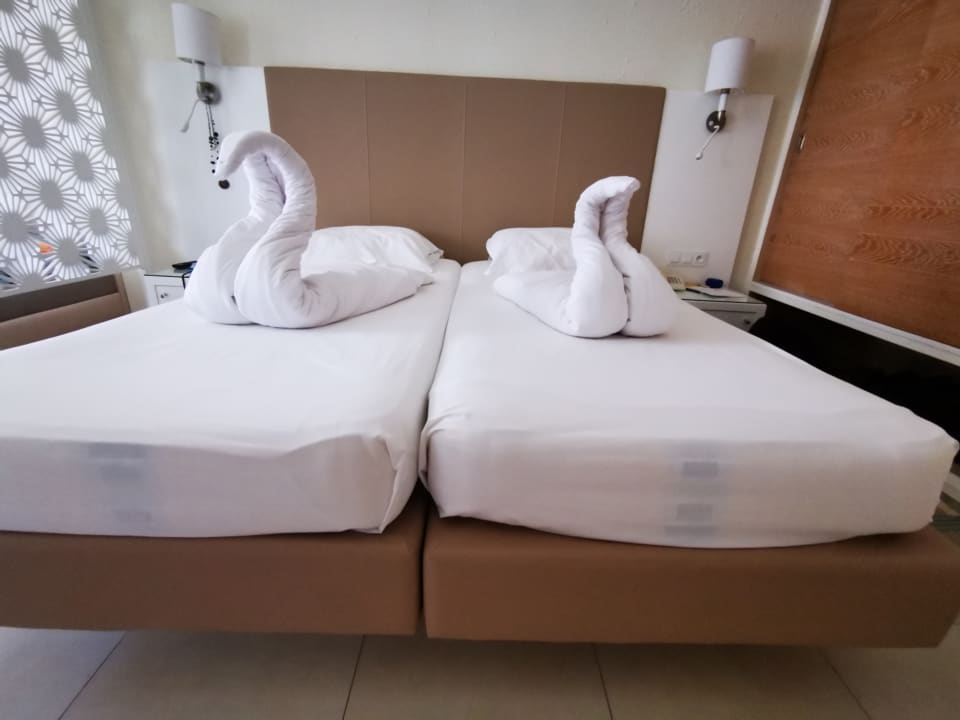 Zimmer TUI MAGIC LIFE Penelope Beach