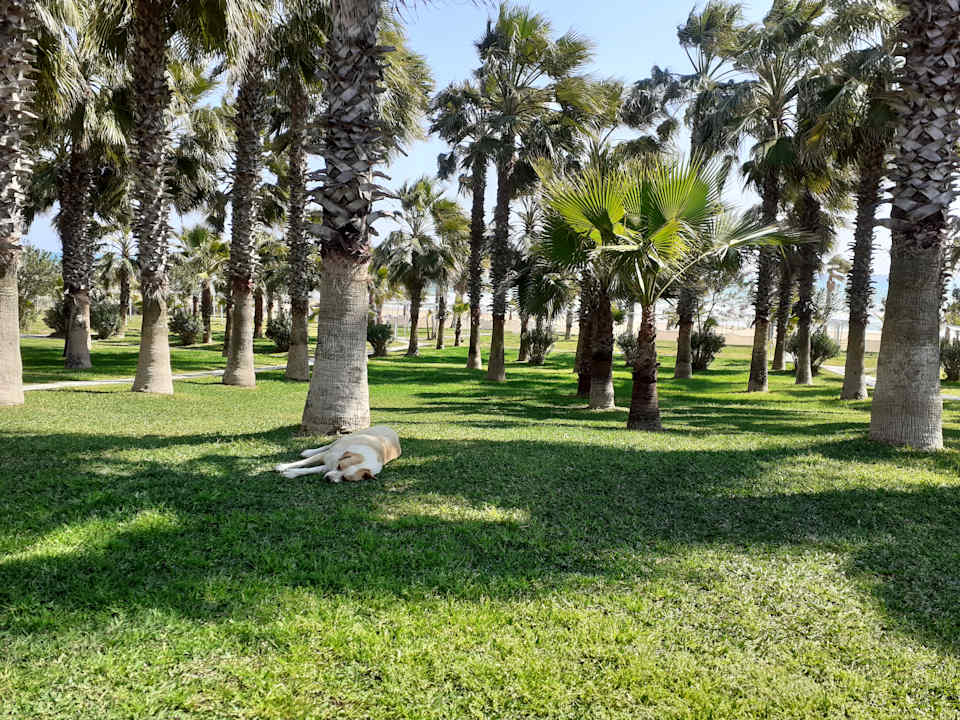 Gartenanlage Hotel Süral Resort