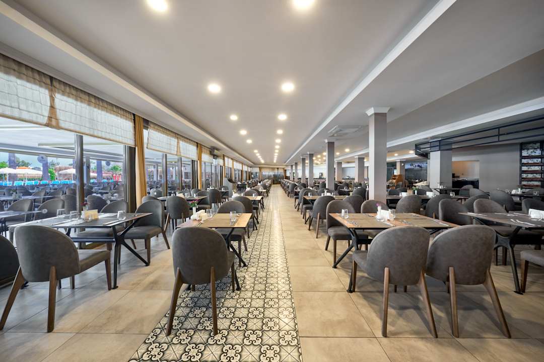 Gastro Asteria Collection Side
