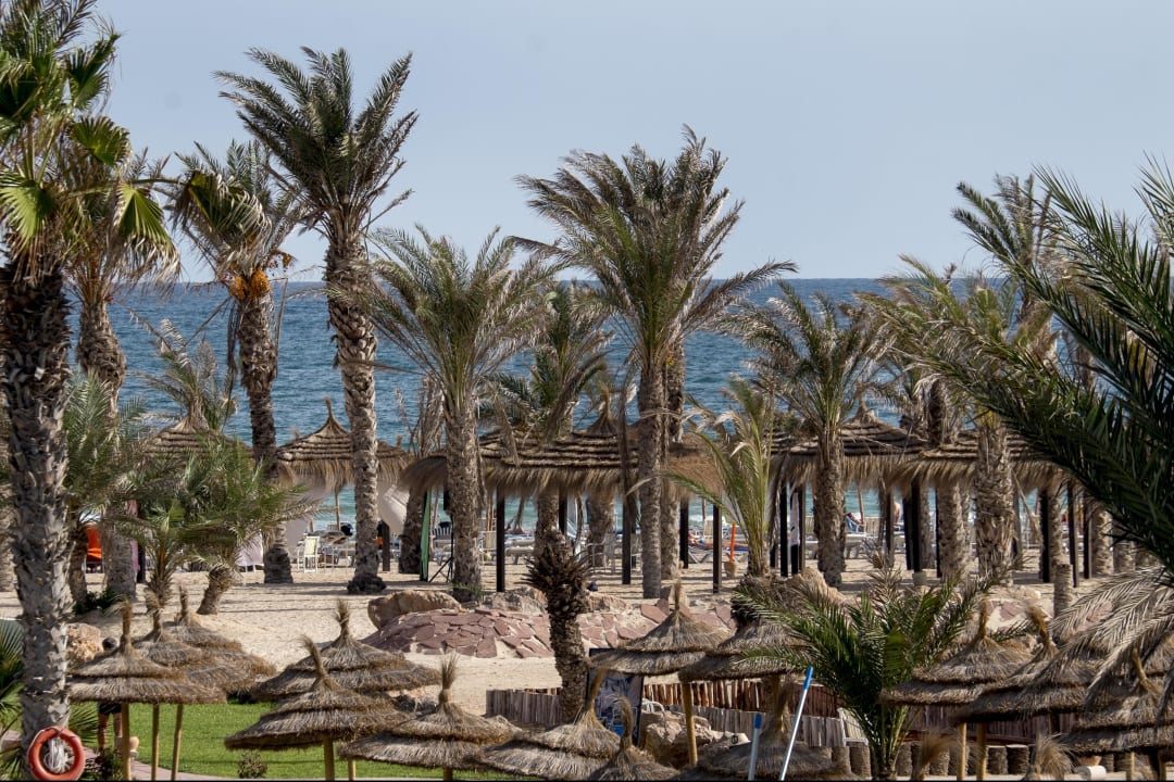 Palmiers généreux  Welcome Meridiana Djerba Hotel