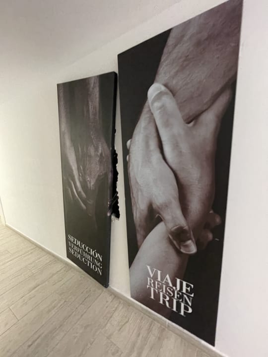 Zimmer Alcudia Garden Aparthotel