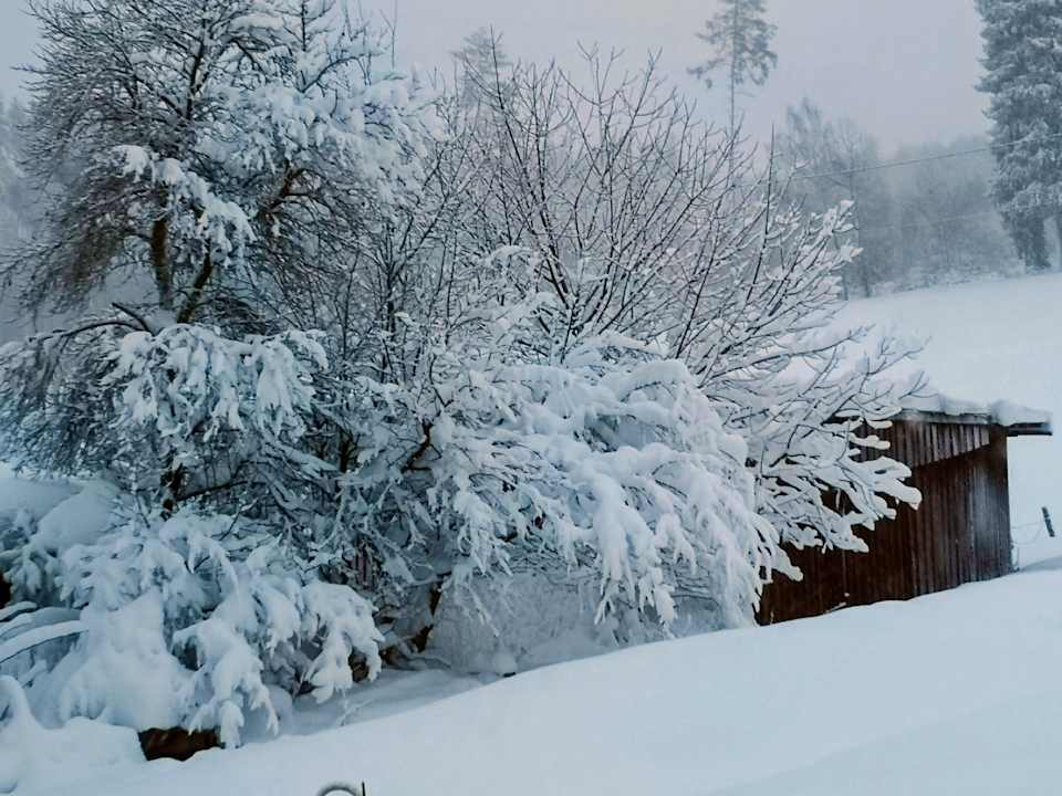 Gartenanlage Pumphut's Scheune - Ferienwohnungen