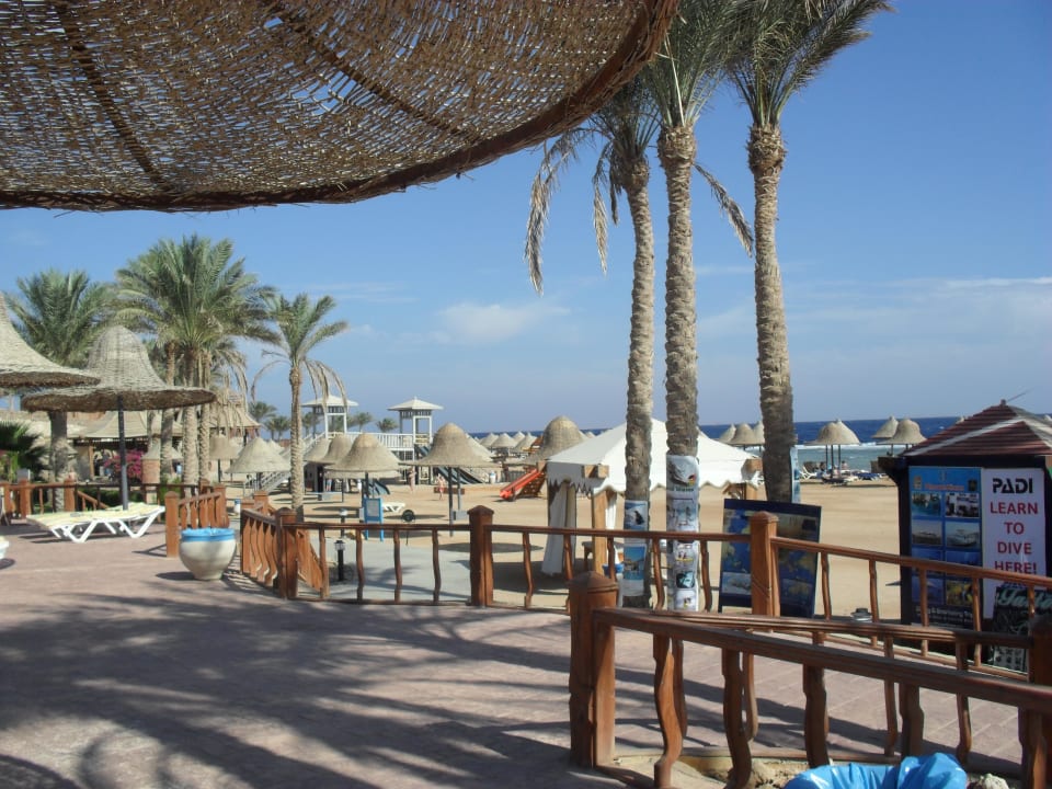 Plaża Parrotel Beach Resort