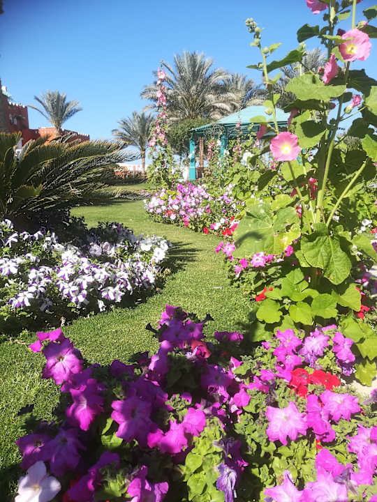 Gartenanlage SUNRISE Garden Beach Resort