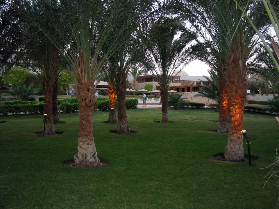 Hotel Fort Arabesque Fort Arabesque Resort, Spa & Villas