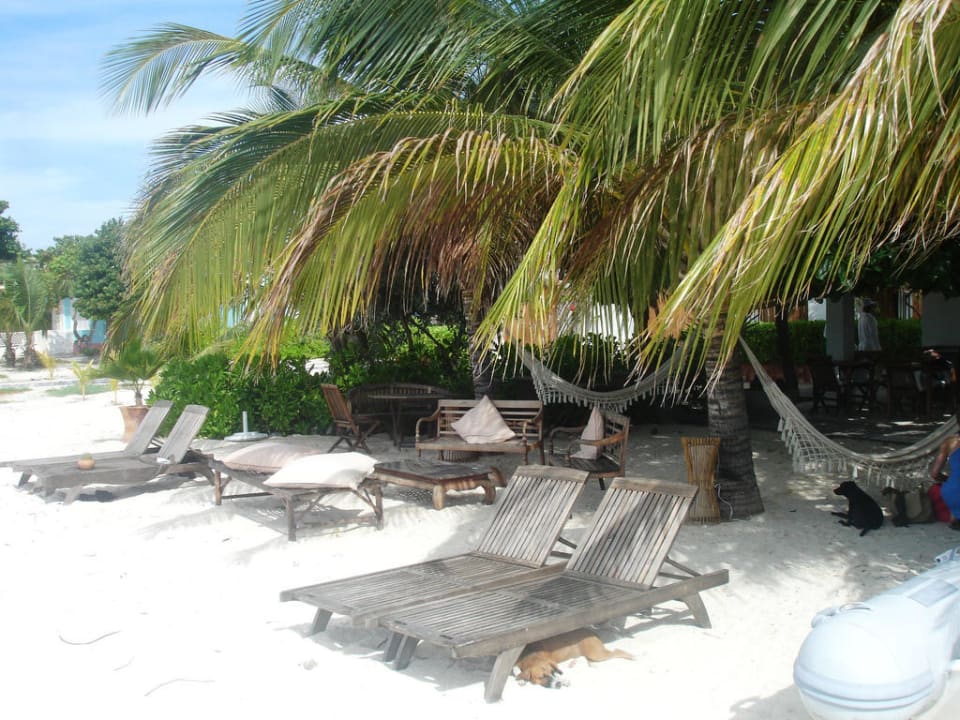 Posada Caracol: on the beach! Posada Caracol Los Roques