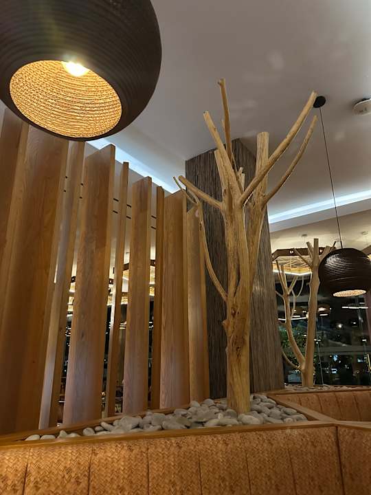 Gastro TRS Turquesa Hotel - Adults only