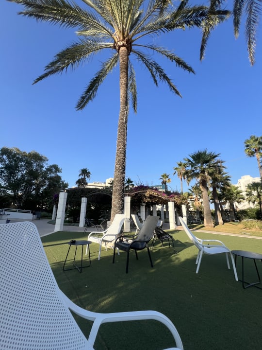 Gartenanlage Hotel Cala Millor Garden - Adults only