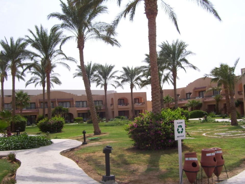 Ogród Ali Baba Palace Hotel