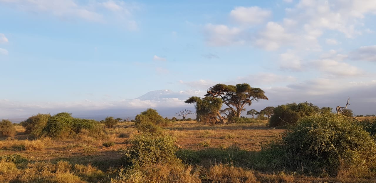 Ausblick Ol Tukai Lodge