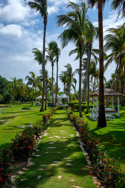 Gartenanlage Royalton Hicacos Resort & Spa - Adults only