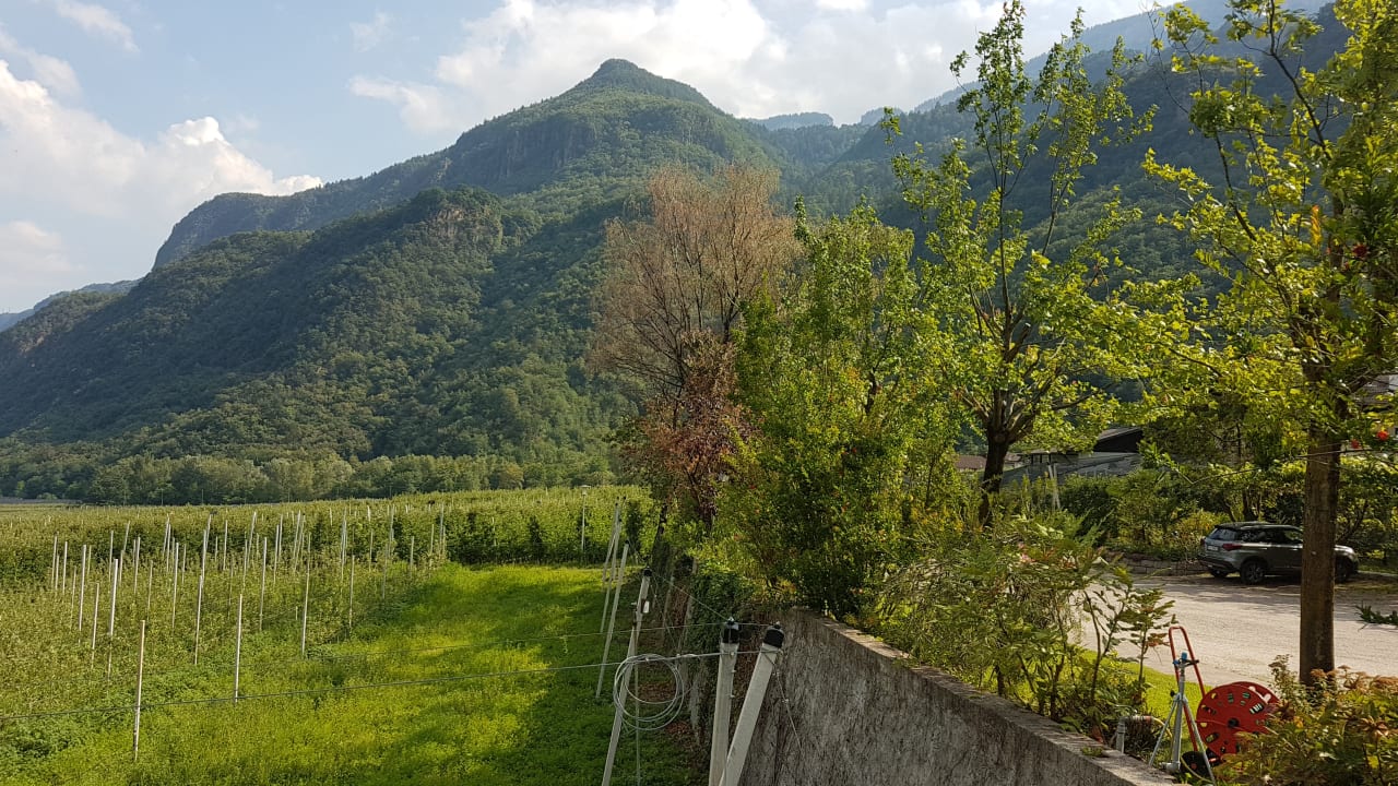 Ausblick Gardenhotel Wilma