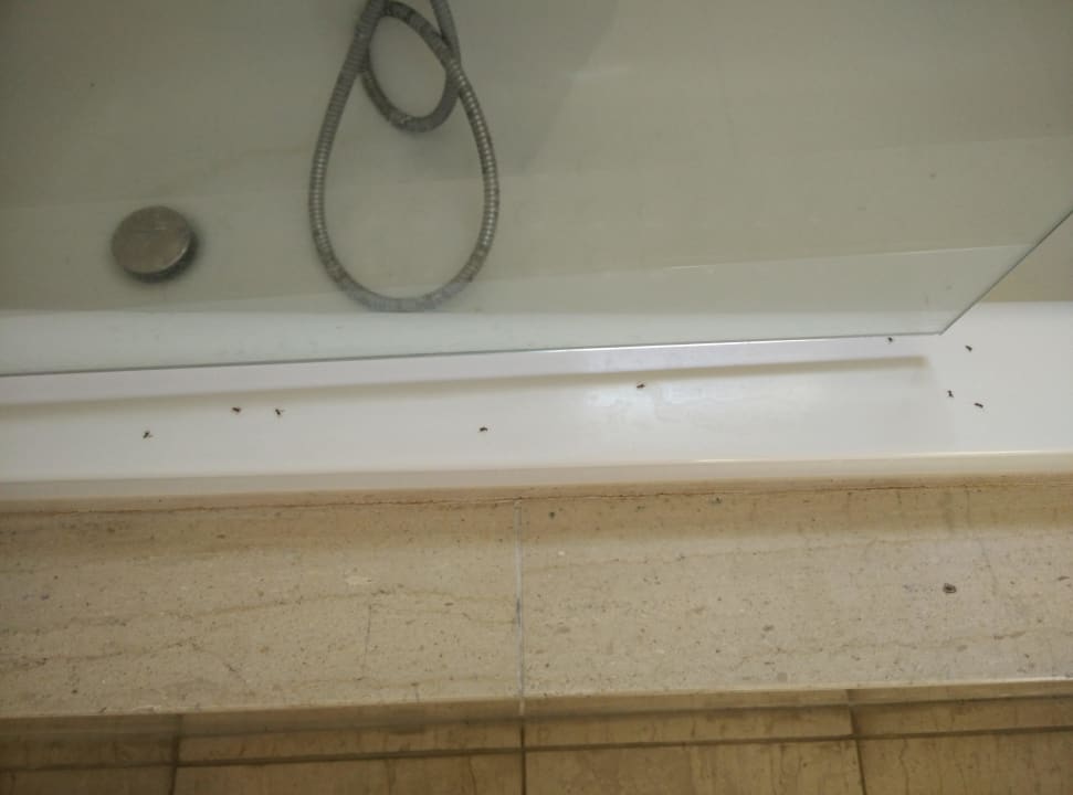 Bad Mitsis Rodos Village