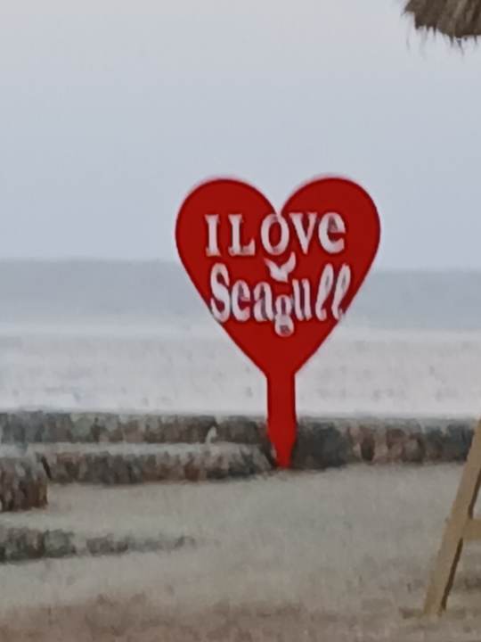 Strand Seagull Beach Resort