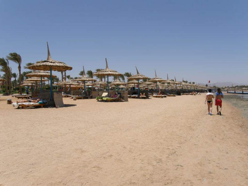 Piaszczysta plaża Hotel Tropicana Azure Club