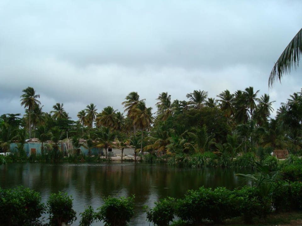Zimmeraussicht Villas Bavaro Resort & Spa