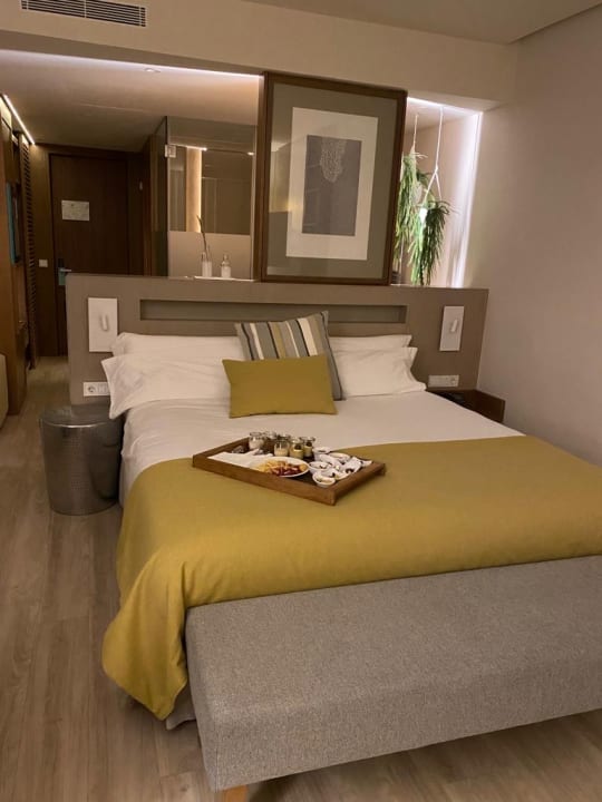 Zimmer Iberostar Selection Llaut Palma
