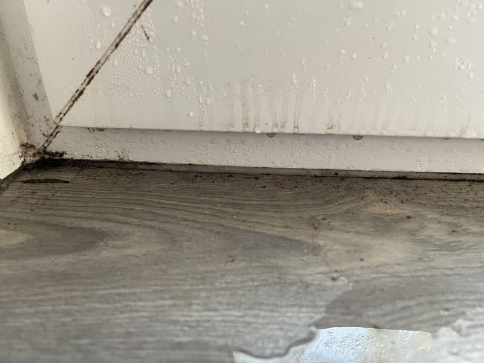 Zimmer Tropical Islands Resort - Mobile Homes