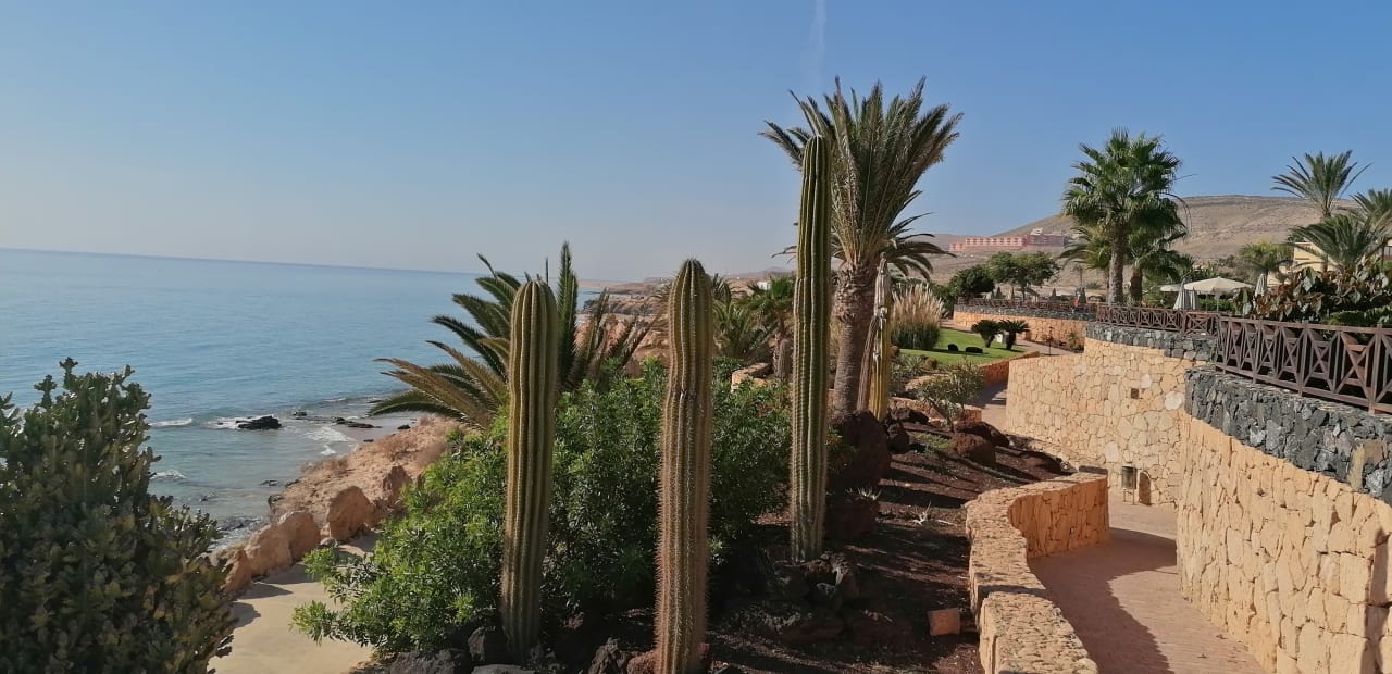 Gartenanlage R2 Pajara Beach
