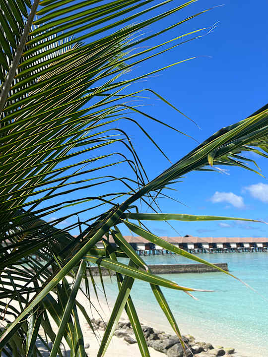 Strand Cinnamon Velifushi Maldives - Free One-Way Speedboat and 02 Kids Under 12 Stay & Dine Free