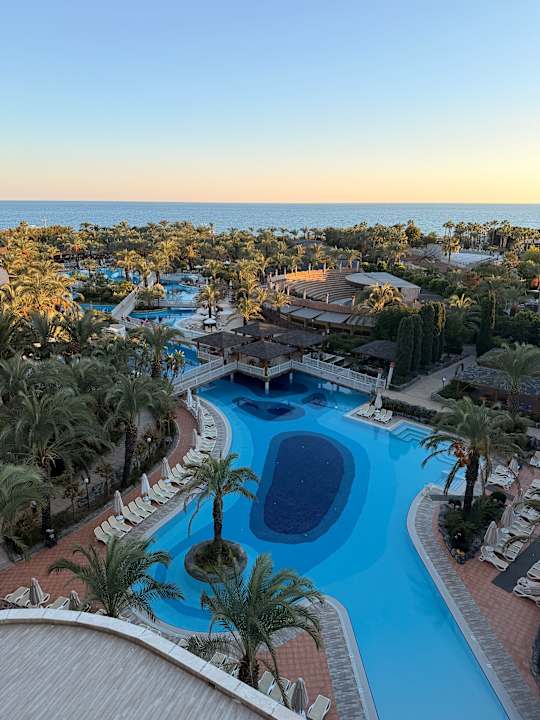 Pool Royal Wings Hotel