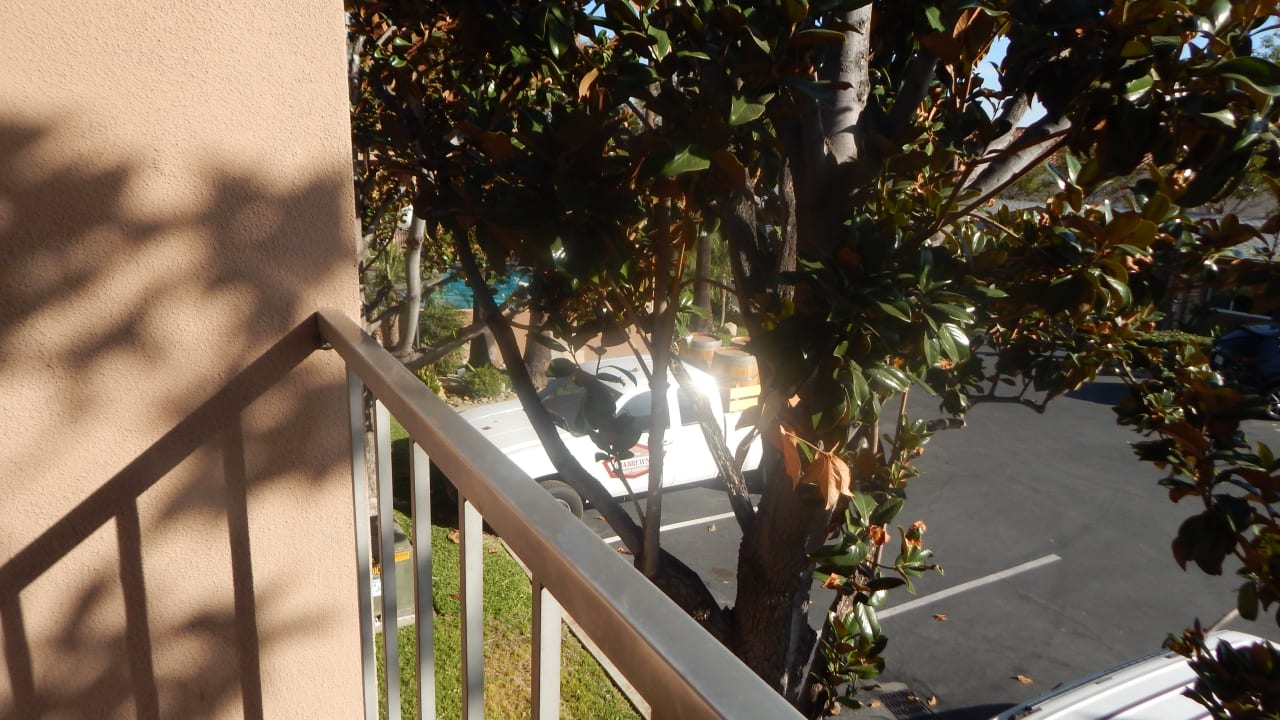 Ausblick Best Western Hotel Pine Tree Motel