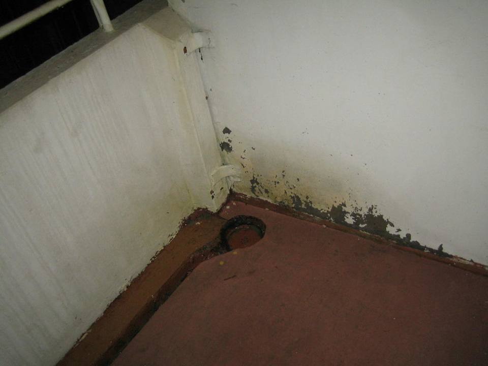 Balkon im Seegarten - Ebay Zimmer Hotel Seegarten