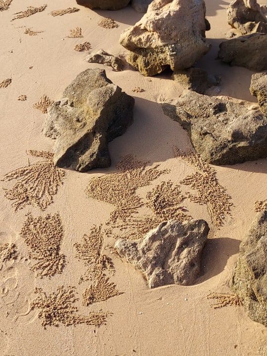 Strand Shams Prestige Abu Soma-Adults Only