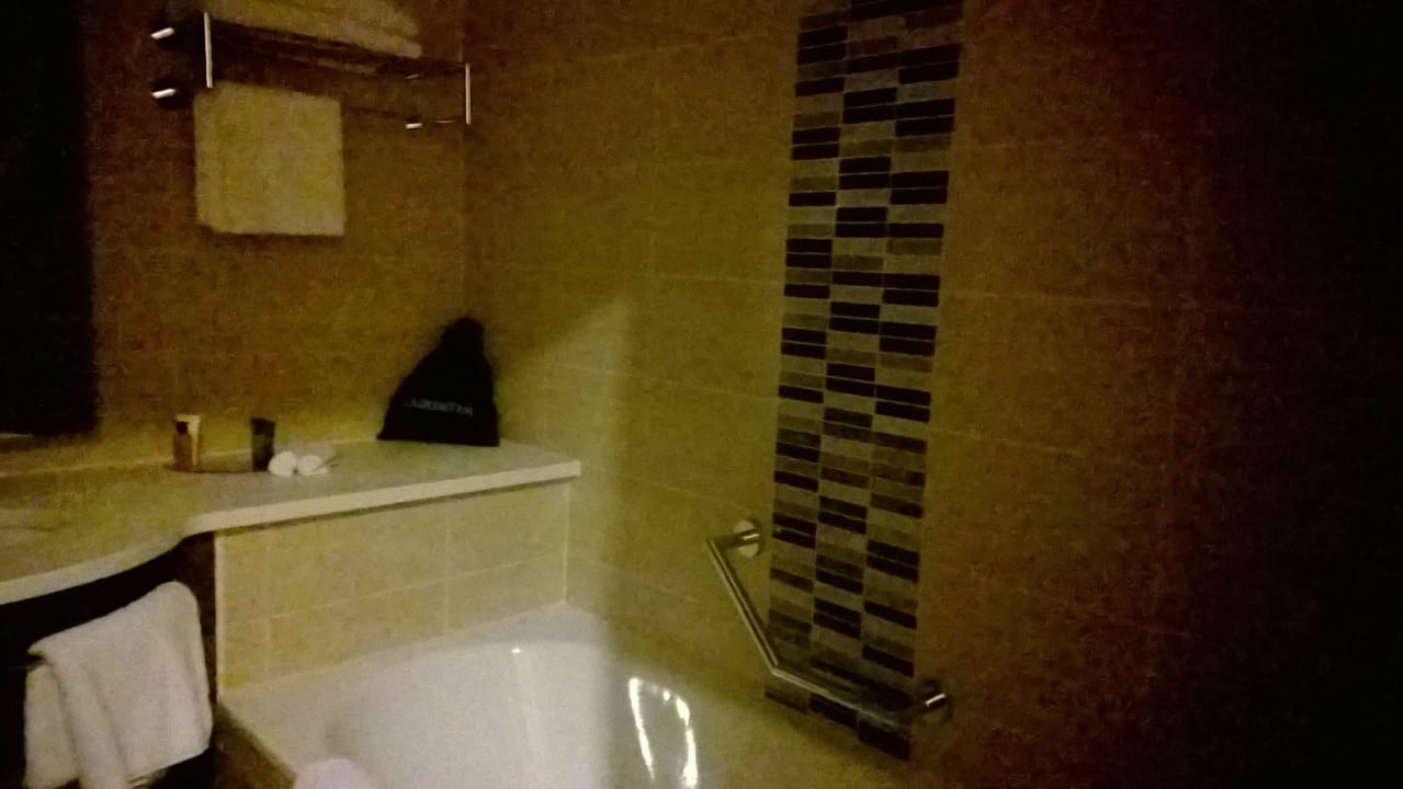 Bad Hilton Garden Inn Frankfurt Airport