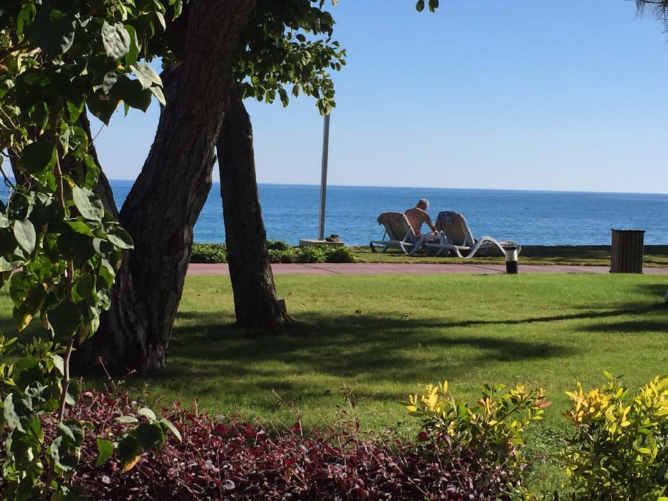 Gartenanlage TUI MAGIC LIFE Beldibi +16