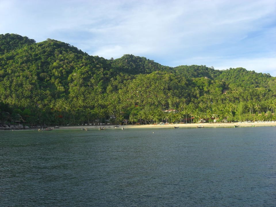 Vom Meer auf die Anlage & den Strand Coral Grand Resort Koh Tao