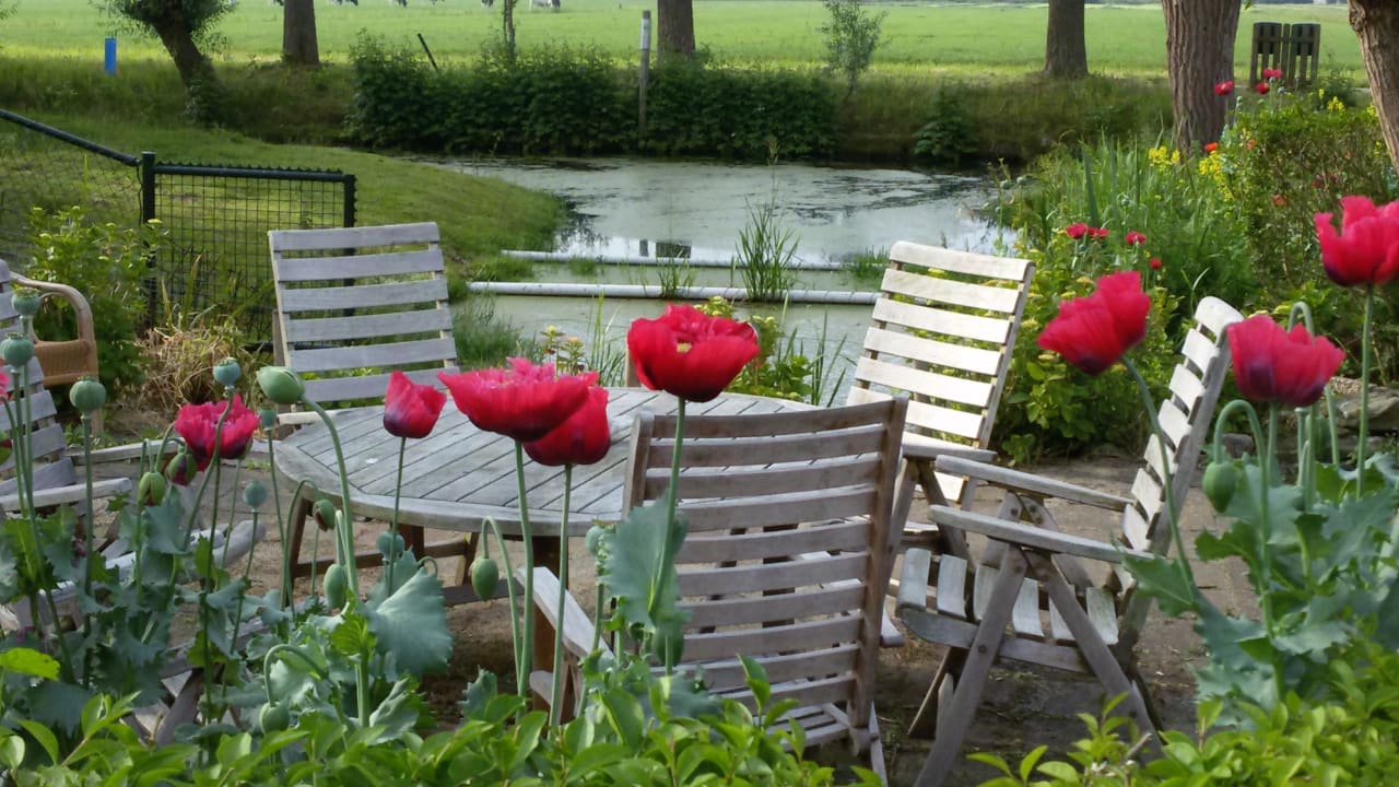 Gartenanlage Boerderij Hazenveld