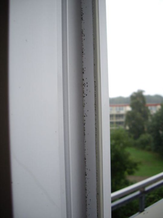 Schimmelige Fensterrahmen Ferienwohnungen Ferienpark Weissenhäuser Strand