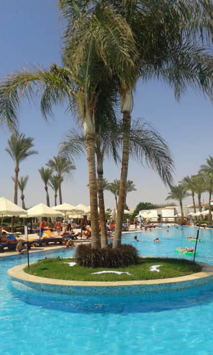 Pool Siva Sharm
