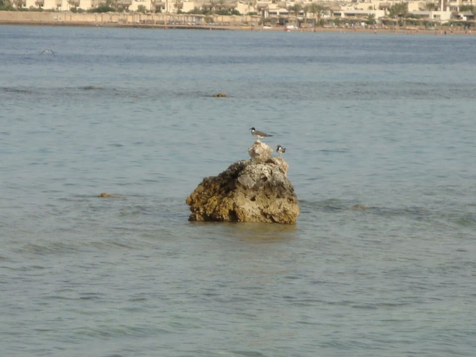 Strand Titanic Beach Spa & Aqua Park