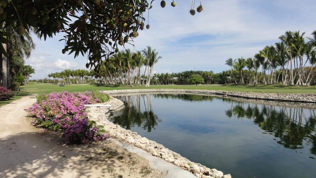Teil des Golfplatzes Catalonia Royal Bavaro - Adults only