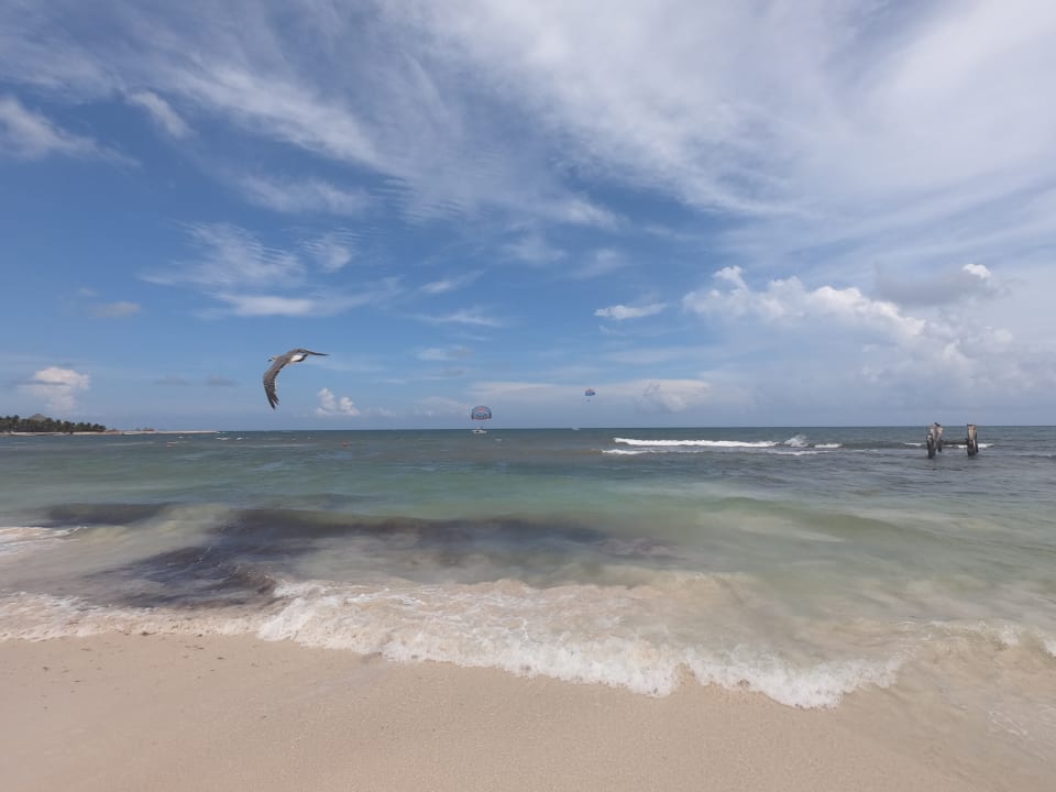 Strand Iberostar Waves Paraiso del Mar