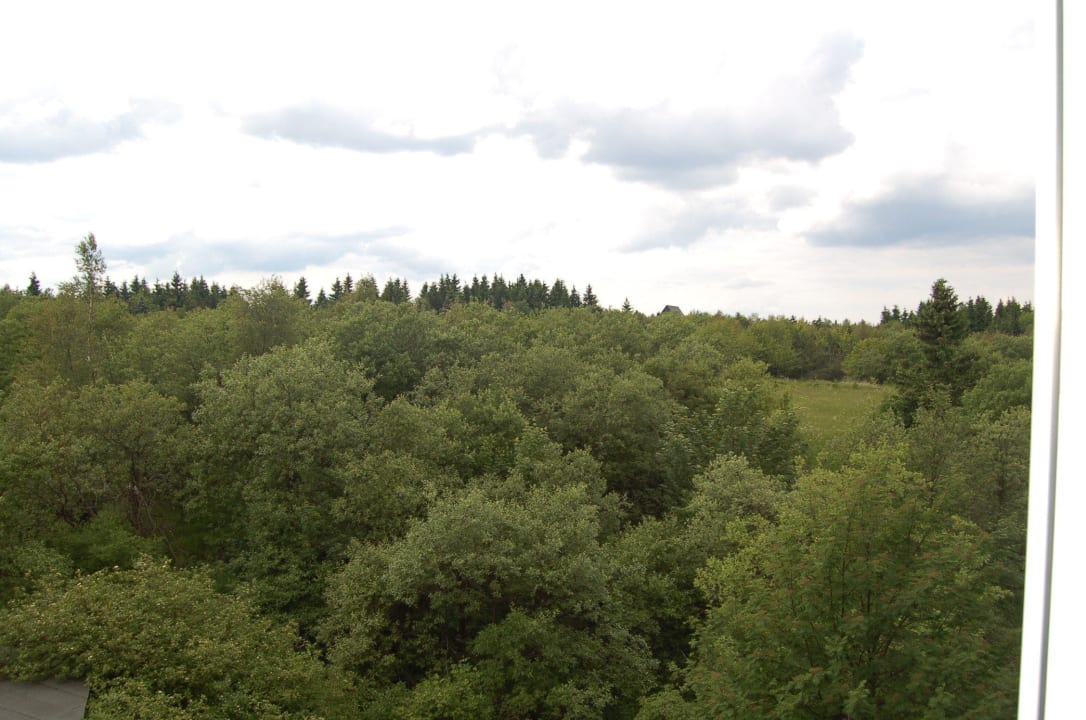 Zimmerblick Hotel Lugsteinhof