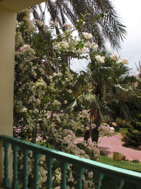2014 Aldiana Club Djerba Atlantide