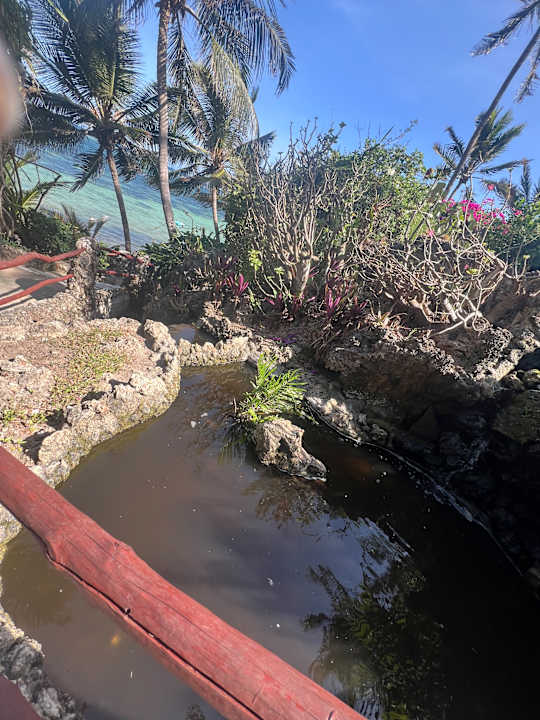 Zimmer Bahari Beach Hotel